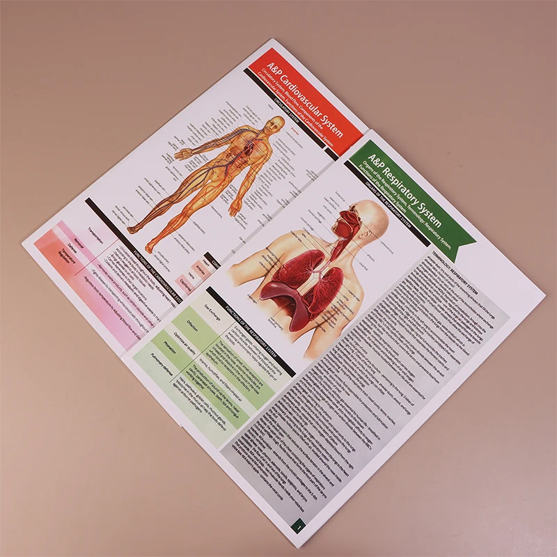 Guides de référence d'anatomie indispensables - Lot de 10 pour les futures professionnels de soins de santé