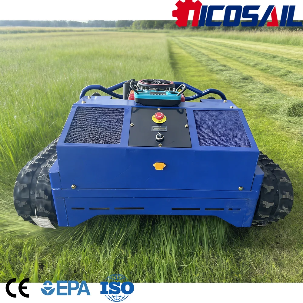 

500mm Customizable Lawn Mower CE Approved Euro 5 Stable Performance for Farm Municipal Work