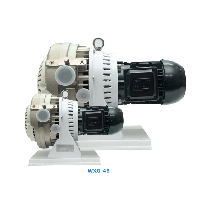 

WXG 4B Oil-Free Dry Dual-Stage Scroll Vacuum Pumps Pumping Speed 4L/S for Primary Pump Mass Spectrometers