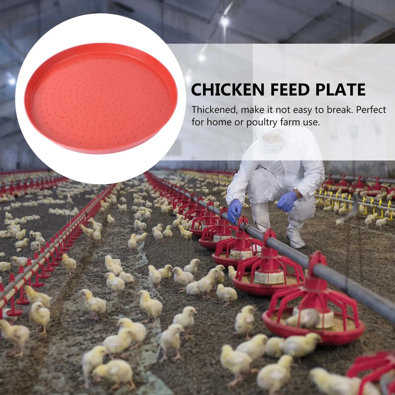 

3Pcs Poultry Feeding Plates Thickened Plastic Chicken Food Trays Non-Deformable Fodder Plates for Home Farm Chick Quail Pigeon