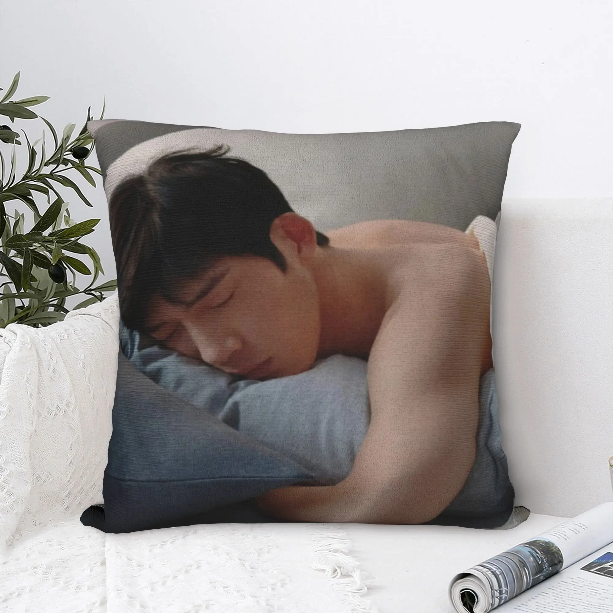 The Early Spring Luke Pillow Case  Soft Pillow Cover Kawaii Pillowcases For Living Room Chair