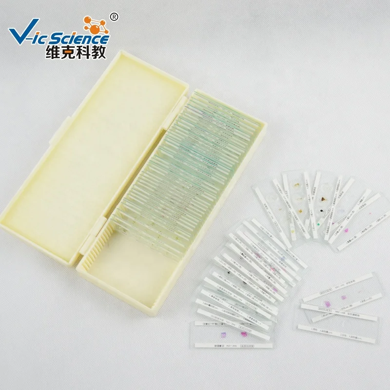 100pcs Human Pathology Prepared Slides for Medical Students Histology Slide