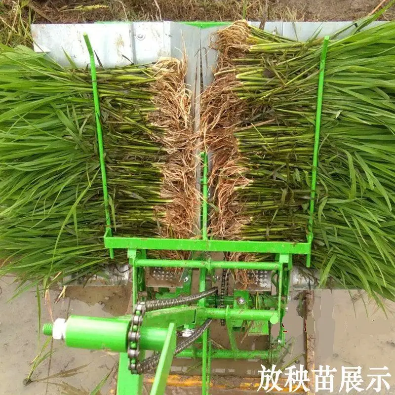 Hand type rice transplanter, rice seedling throwing machine, seedling transplanting artifact, small rice transplanter, seedling