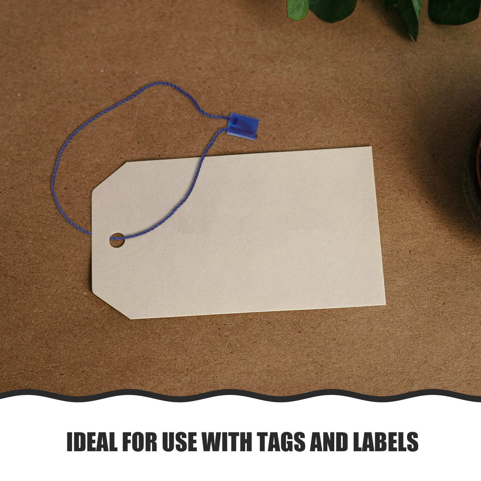 

Square Buckle Tag Rope Labels Durable Plastic Clothing Tags Hang String for Labeling Easy Use Fashion Color Gift Packaging Box