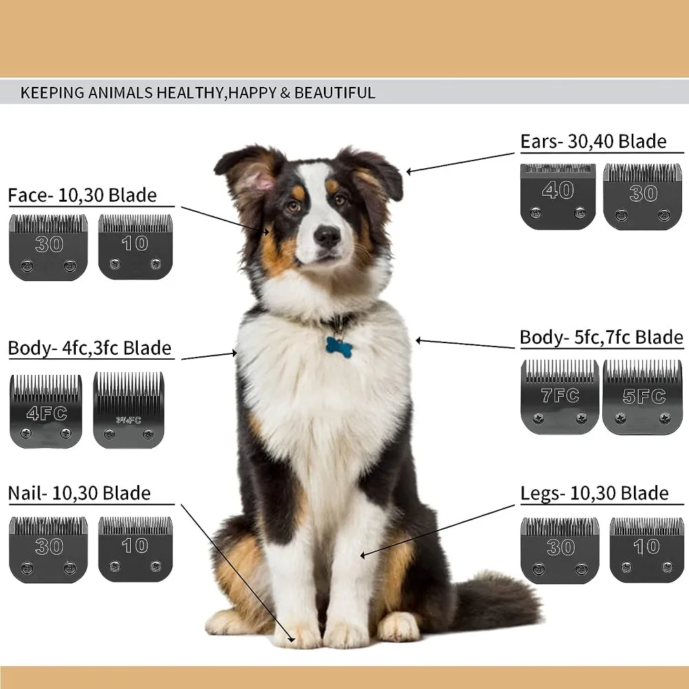 Lame rimovibili per toelettatura per cani da compagnia 7FC/5FC/4FC/3FC in acciaio inossidabile, compatibili con la serie Andis,Oster A5,Wahl KM10