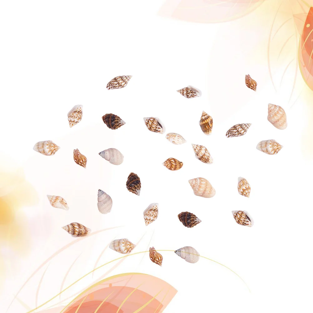 

1 Box Small Conch Natural Seashells For Decoration Crafts Home Aquarium Room Decor Beach Seashells Fish Tank Ornament Gift