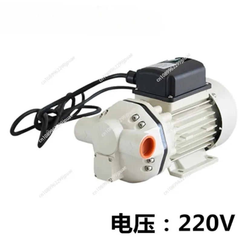 Portable 30L/min AdBlue Urea Transfer Pump Set 12V 24V 220V With Nozzle Flow Meter And Delivery Hose