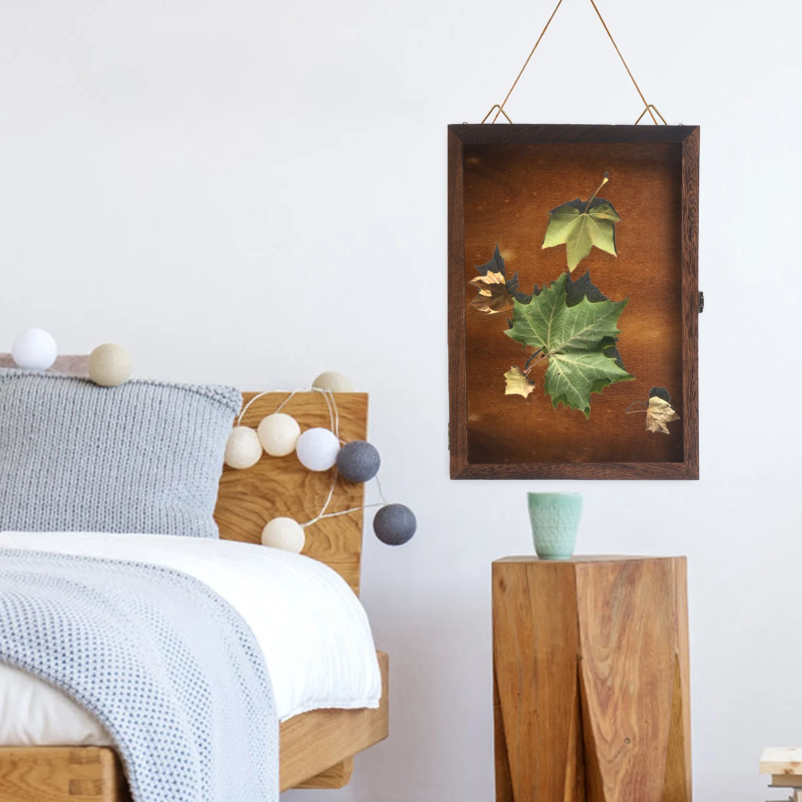 

Insect Display Box Vintage Specimen Case Retro Wood Storage Container Butterfly Boxes Home Decor Tool Parts