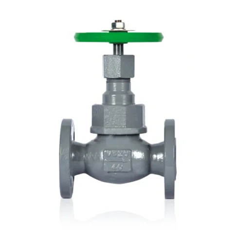 Shut-off Valve PN16 PN25 PN40 LPG Globe Valve Cast Iron Gray Gas Stop Valves DN25 DN50 DN80 J41N-16/25/40/63