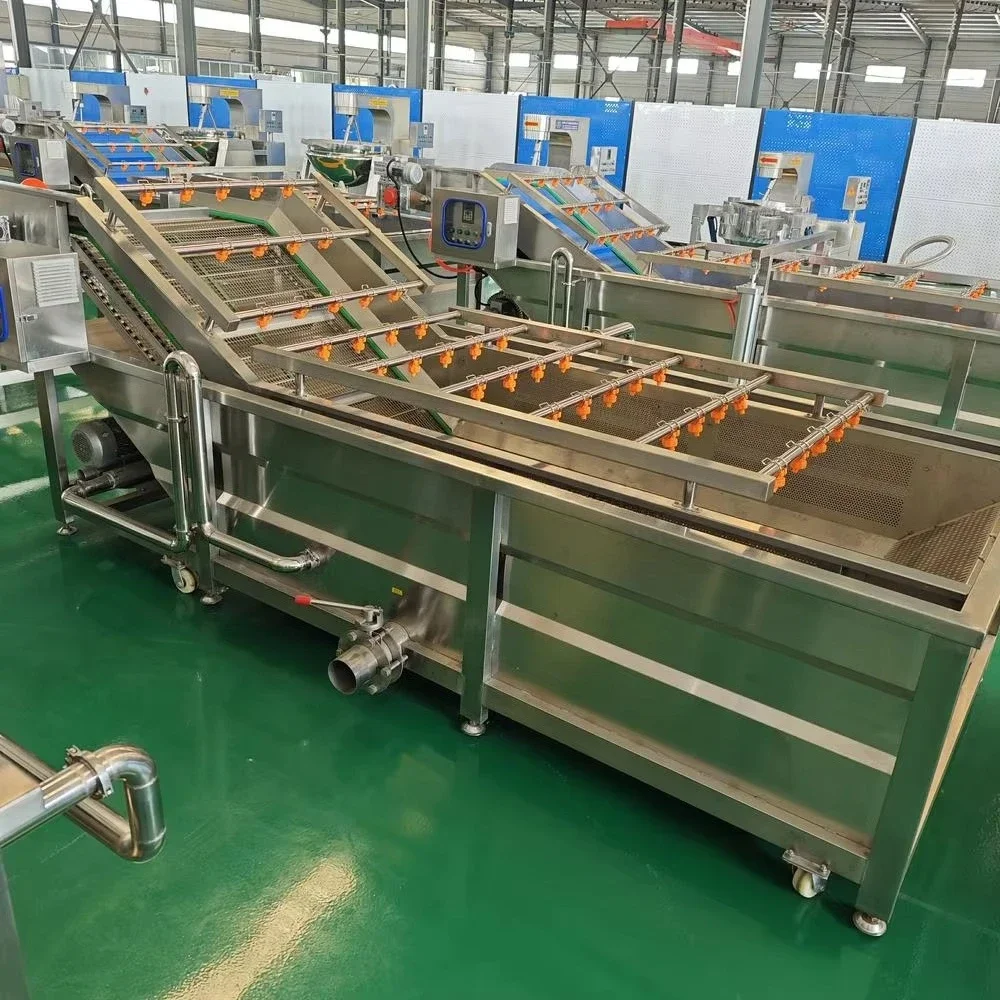 Air Bubble Cleaning Vegetable Fruit Washer Dryer Sorting Washing Processing Line Machine