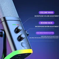 Professional RGB Light USB Gaming Microphone with ShockMount - Noise-Cancelling Mic, Plug & Play Recording,Streaming Equipment for Game Console, Mobile Phones, PCMusic Accessories Professional RGB Light 4