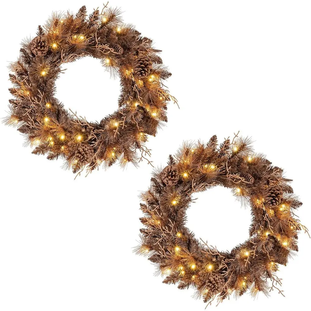 

24 Inch 2-Pack Battery-Powered LED Lighted Artificial Winter Wreaths for Front Door, 105 Branch Tips, 35 Warm White Lights