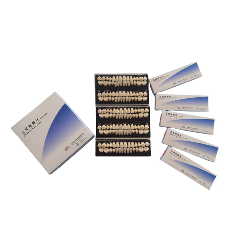 

10PCS Full Mouth Two Layers Dentals Factory CE ISO Wholesale False Teeth Custom Denture Synthetic Resin Teeth