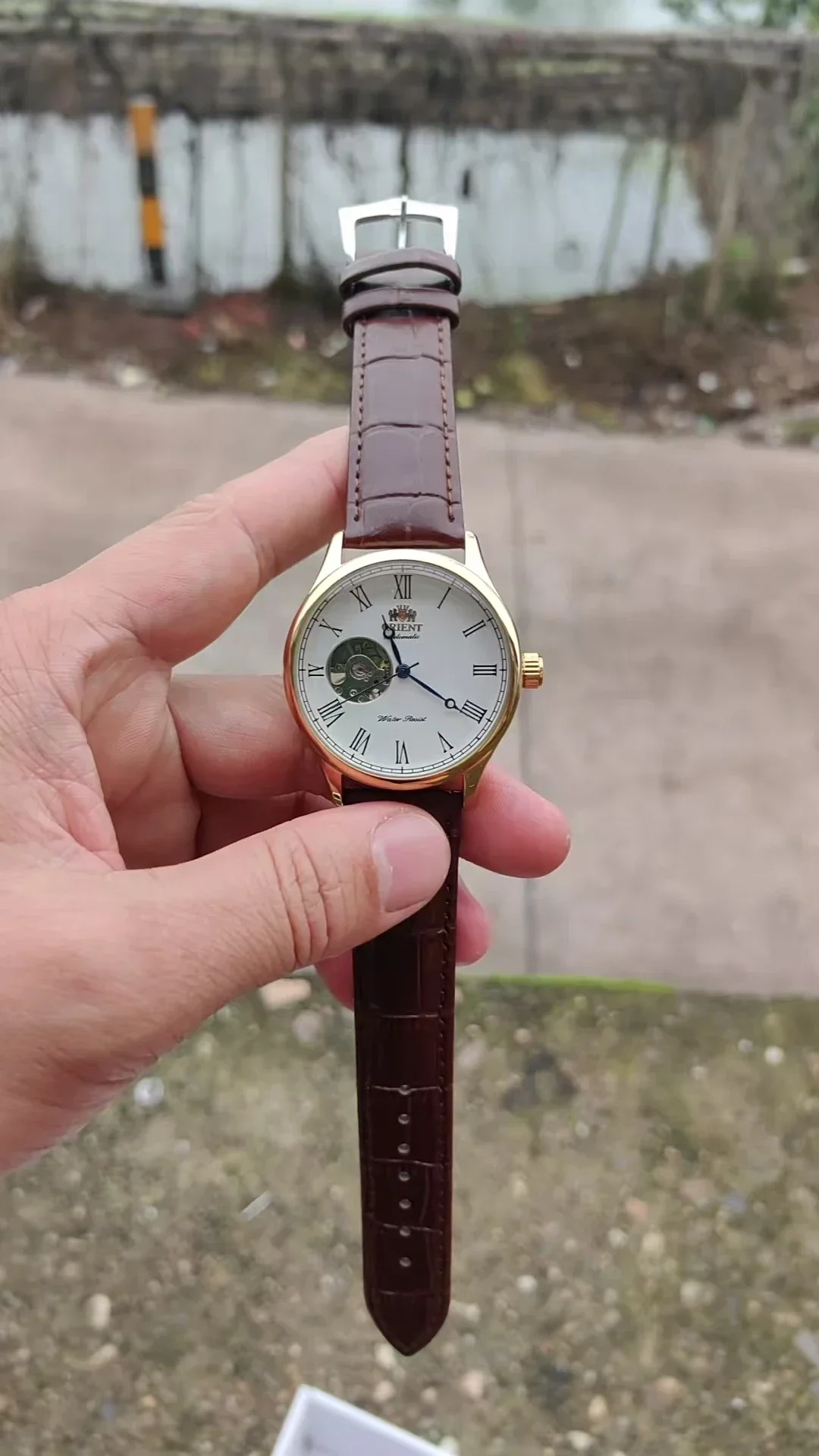 DFDG Mechanical Skeleton Watch with Full Functions, World Time, Minimalist Orient Style view 3