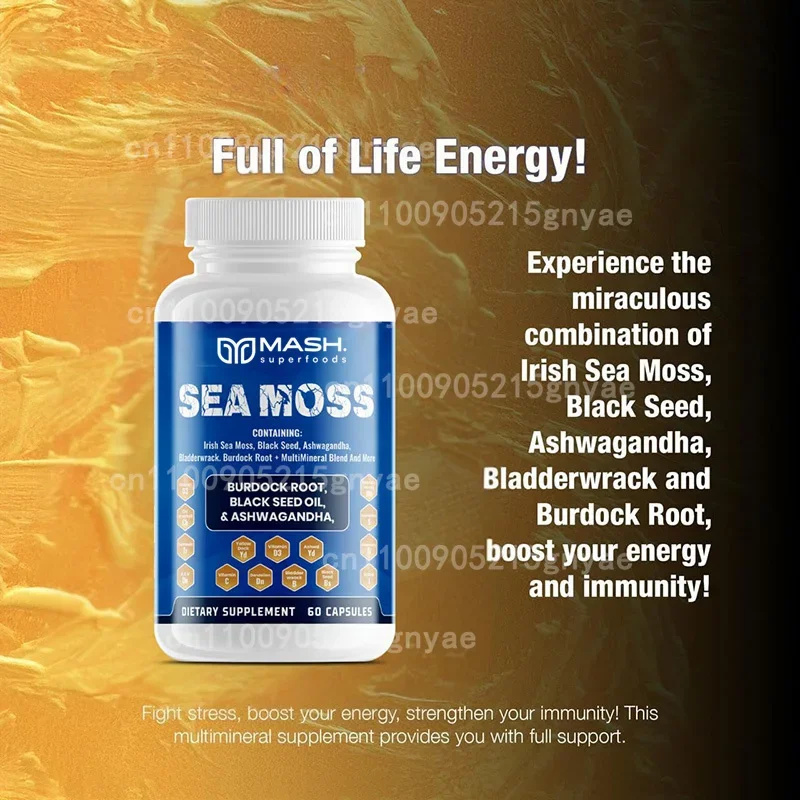 

Капсулы с морскими водорослями (органические водоросли + корень лопуха) | Усовершенствованная формула для иммунитета, способствует улучшению пищеварения и здоровья кишечника – 60 капсул