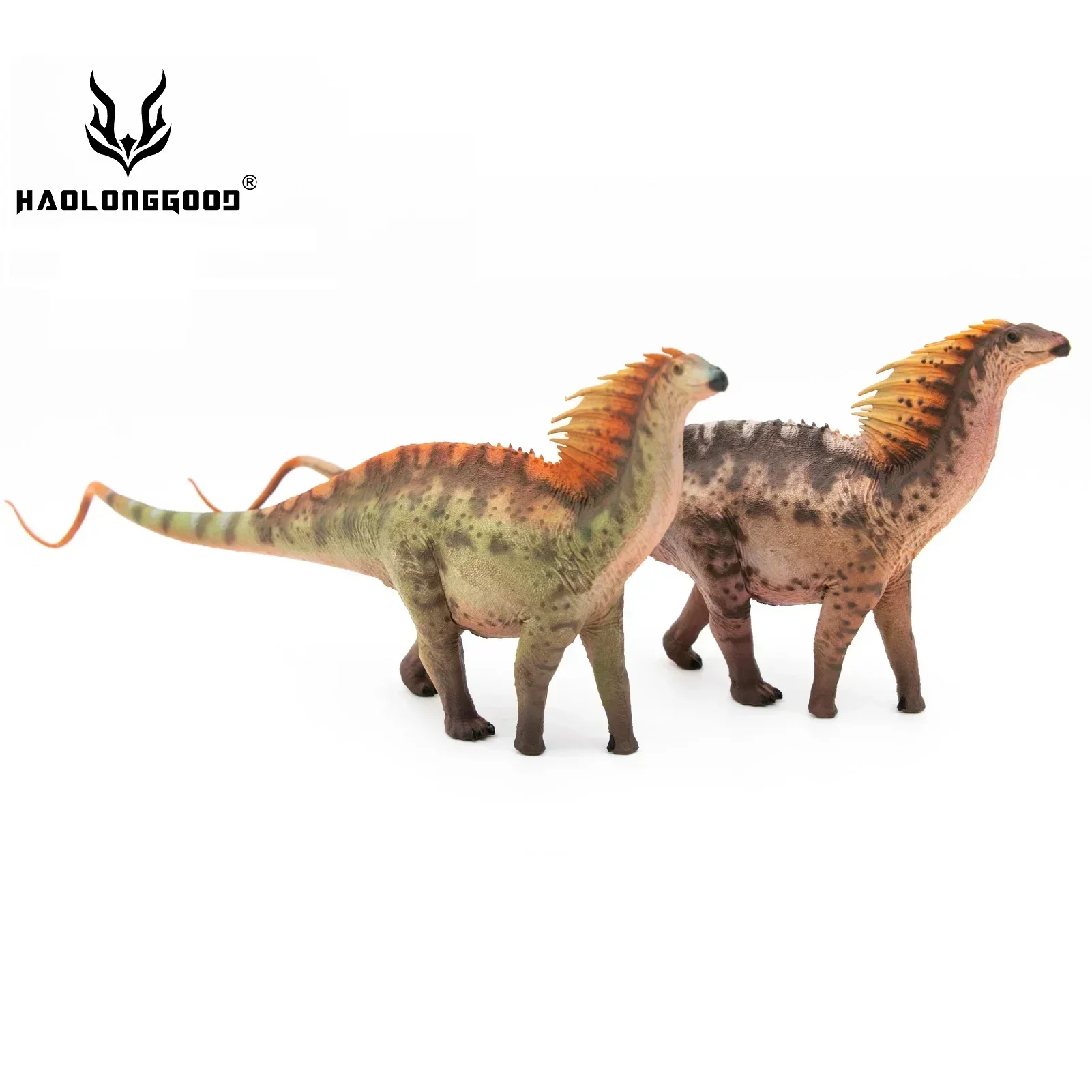 1:35 HAOLONGGOOD Amargasaurus Dinozaur Klasyczny zabawkowy model zwierzęcia