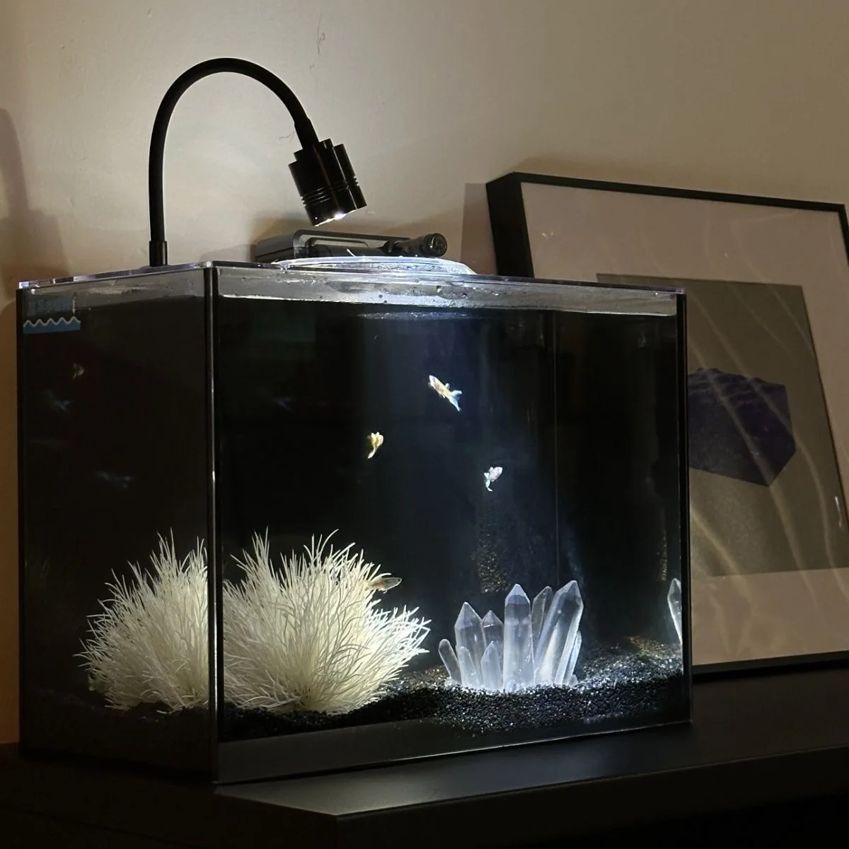 

Fish tank decoration simulated aquatic plant scenery, white coral simulated crystal and 500g black sand, betta fish tank scenery