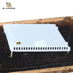 Queen Nicot Push In Comb Intro Cage Travelling Isolation Frame Mounted Introduction New Bees To Colony Plastic Beekeeping Tools