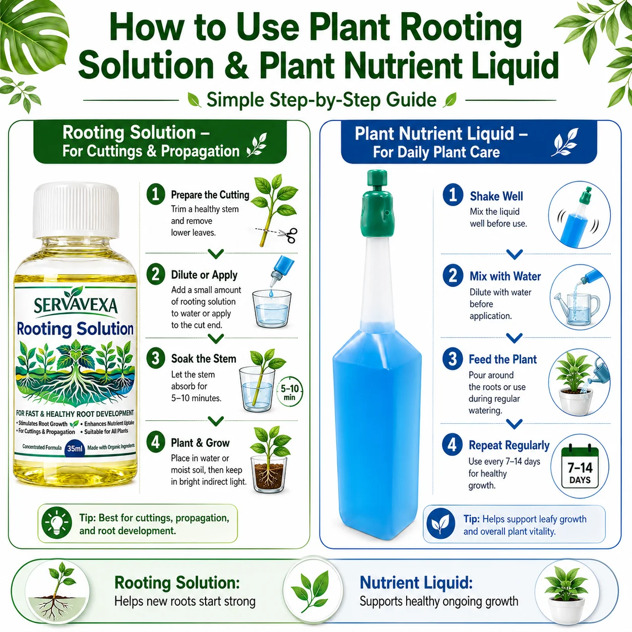 Plant Rooting & Nutrient Liquid Set – Boost Root Growth,  Stem & Leaf Nutrition, Flowers, Ideal for Cuttings & Healthy Plants