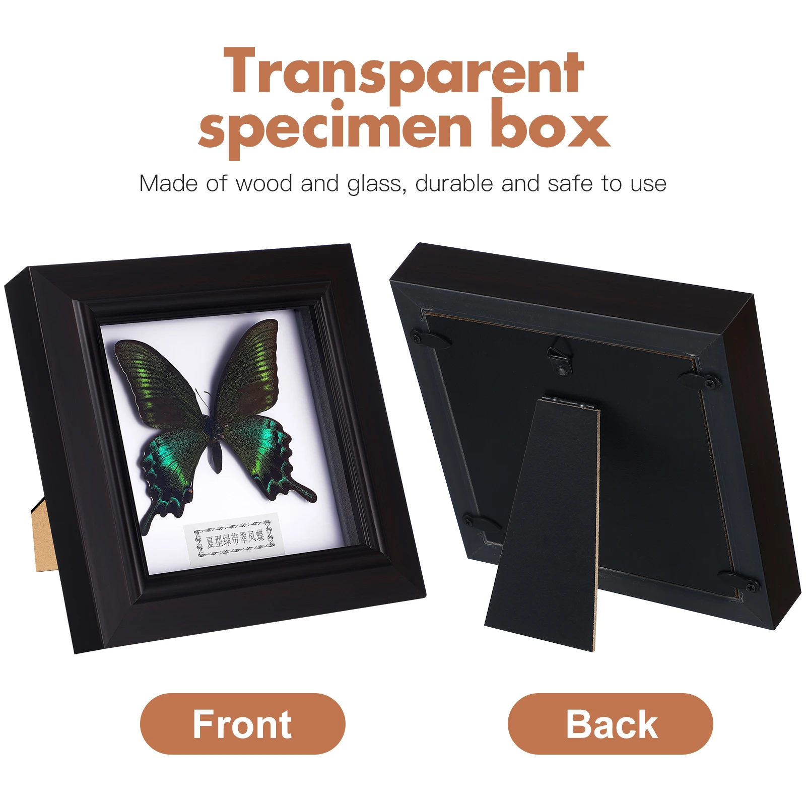 Butterfly Specimens Display Frame Home Decoration Display Collectibles Boxed Photo Frame Home Office Specimen Pendant NEW