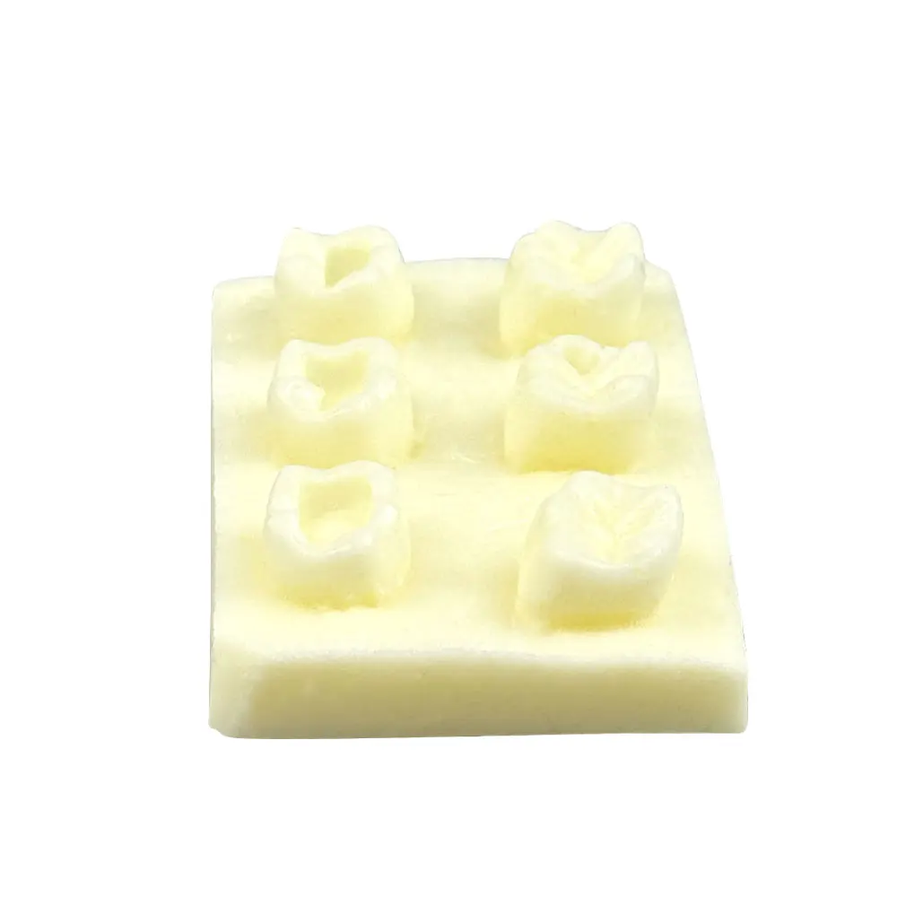 Modelo de treinamento de implante, modelo de enchimento dental, modelo de dentes de implante para prática de odontologia, ensino, estudo, exame, educação