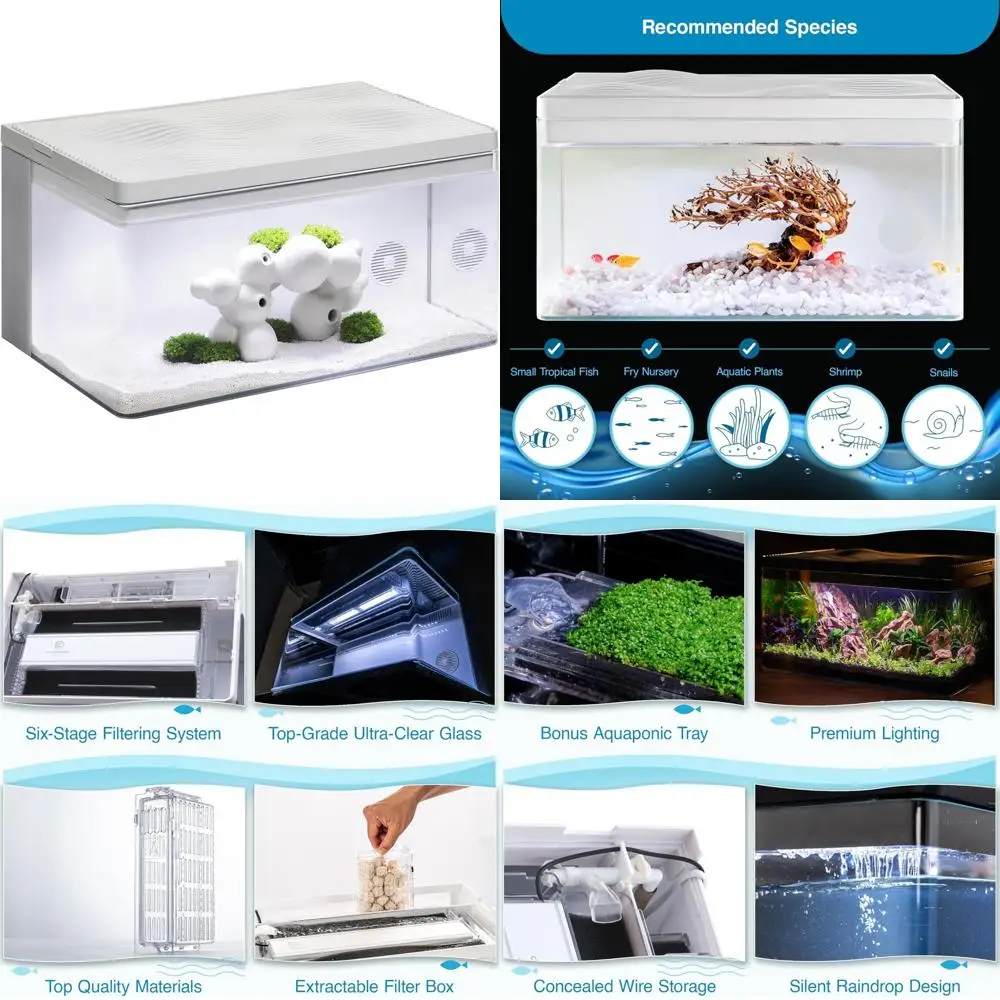 

Clairnara Harmony Aquarium - 8 Gallon Freshwater Tank with LED Lighting, Silent Pump, and Innovative Filtration System