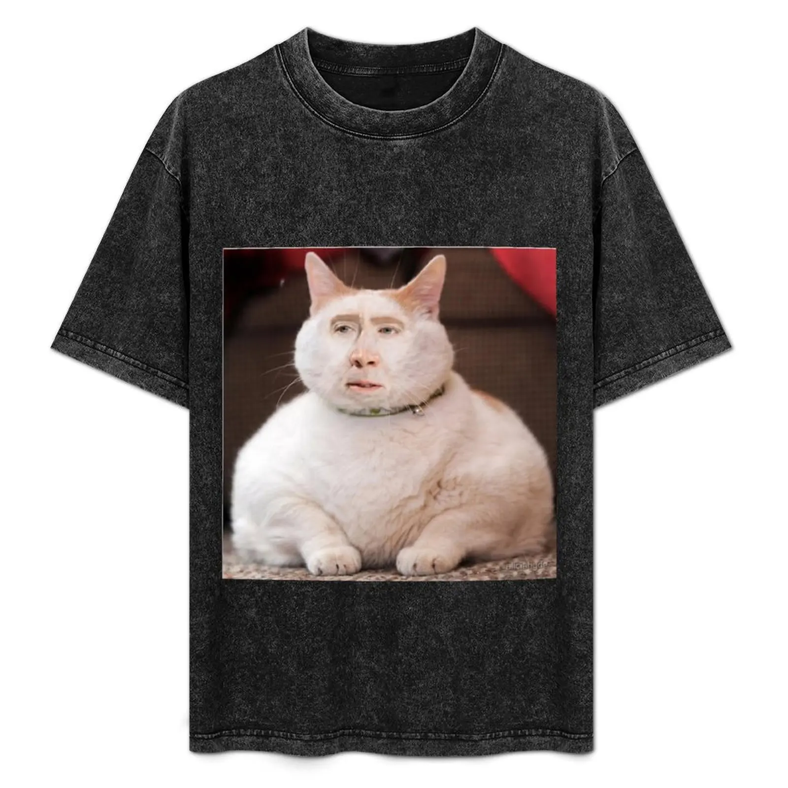 

Nicolas Cage Photoshop Cat T-Shirt Plus Size Street Style Tee