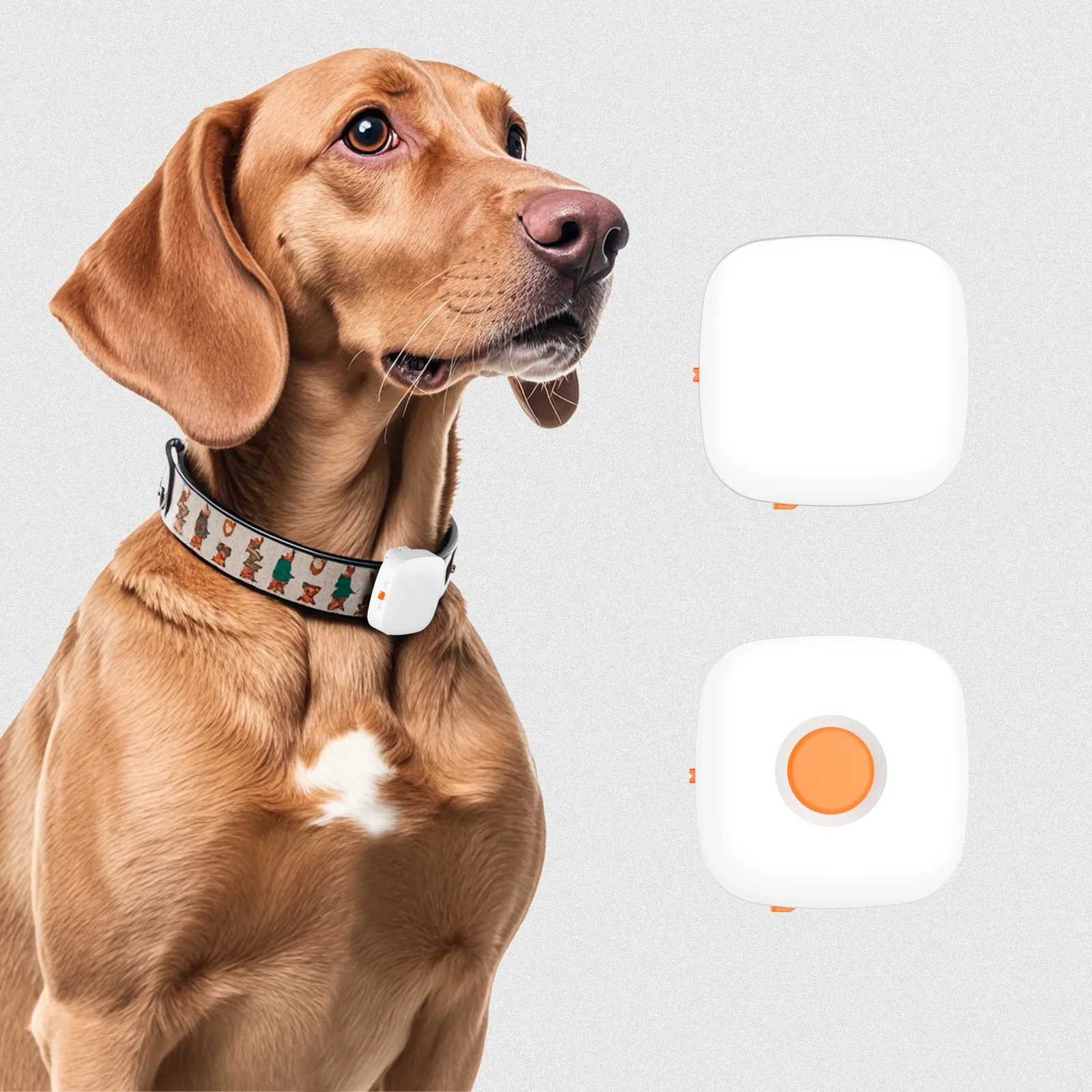 

Smart Anti-Bark Collar for Dogs - Humane Vibration Training - No Shock Rechargeable & Waterproof -Suitable for Small/Medium Dogs