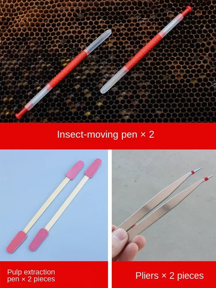 أدوات النحل Yuwang مجموعة كاملة النحل فقط الزراعة الاصطناعية الملكة يو وانغ كوانغ وانغ منصة الغطاء الواقي أداة الكتابة على الجدران