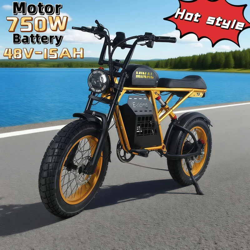

Retro style mountain off-road 750W motor 48V15AH high efficiency energy-saving battery urban commuting cooler