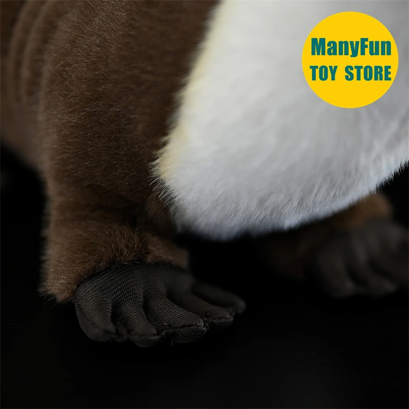 Lebensechtes Otter-Plüschtier – realistisches Biber-Kuscheltier, süße Lutra-Lutra-Simulationspuppe, Meerotter-Plüschtier-Geschenk für Kinder