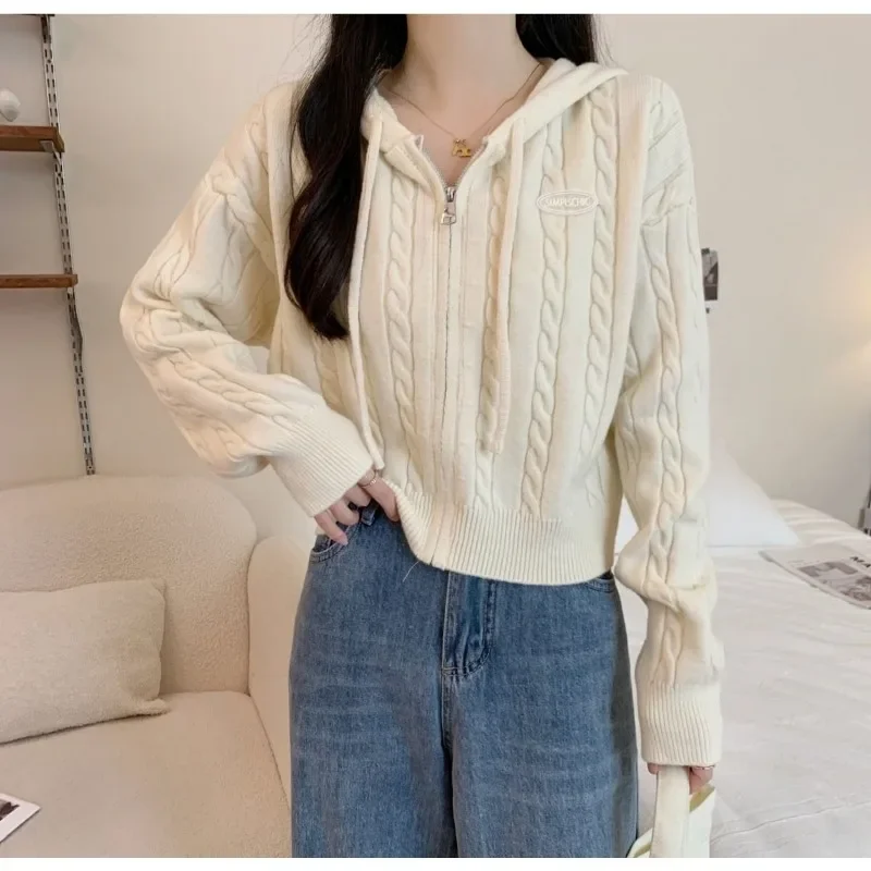 Zipper Cardigan Sweater for Women Autumn and Winter 2025 New Design Niche Drawstring Hooded Knitted Top