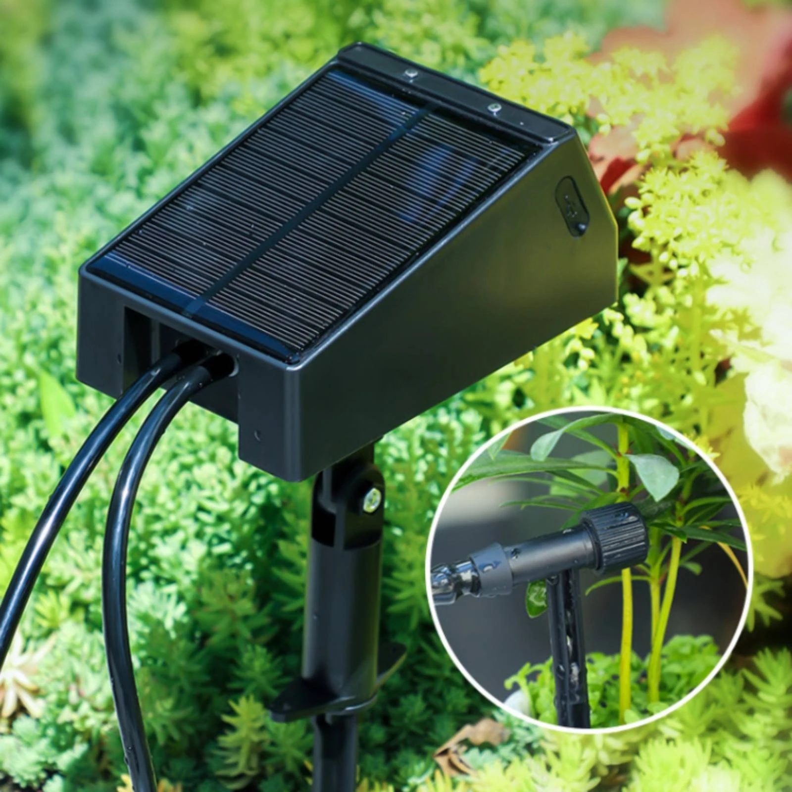 Solar Automatic Trickle Irrigation Kit Compact Automatic Irrigation Kit with Filter Self-Watering System Easy-to-Use Outdoor