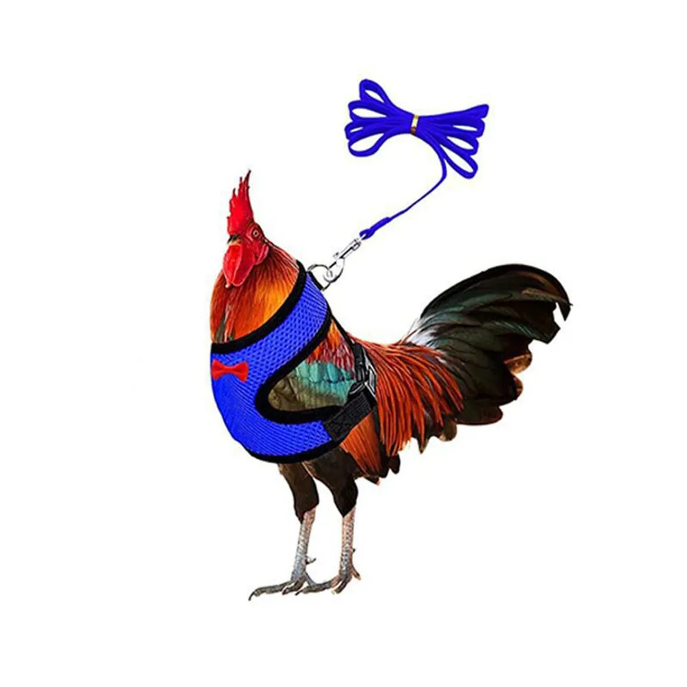 Pet Vest Belt Breathable Chicken Duck Fashion Mesh Pet With Chest Back Set Pet Plus Traction Chicken Duck Goose Training Walking view 3