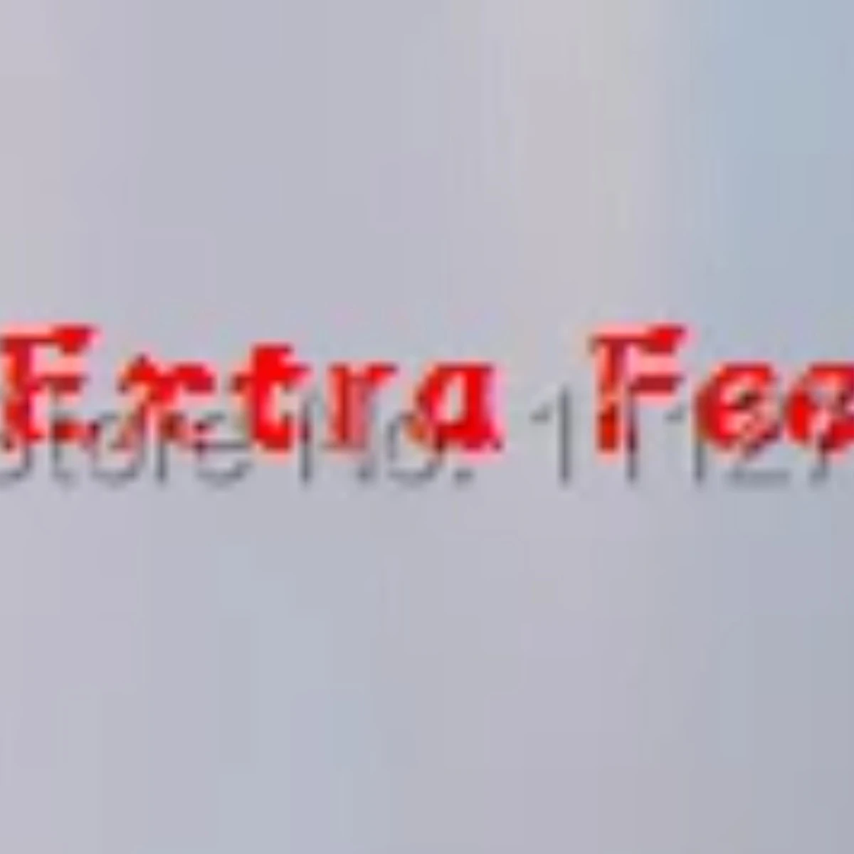 Cost Of Materials And Workmanship Or Other Fee Extra Fee