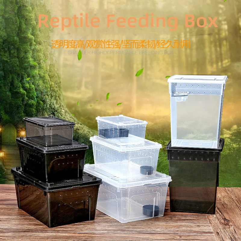 1PCS Reptile Tank Insect Spiders Tortoise Lizard Acrylic Transparent Breeding Box with Lid Pet Feeding Product Vivarium