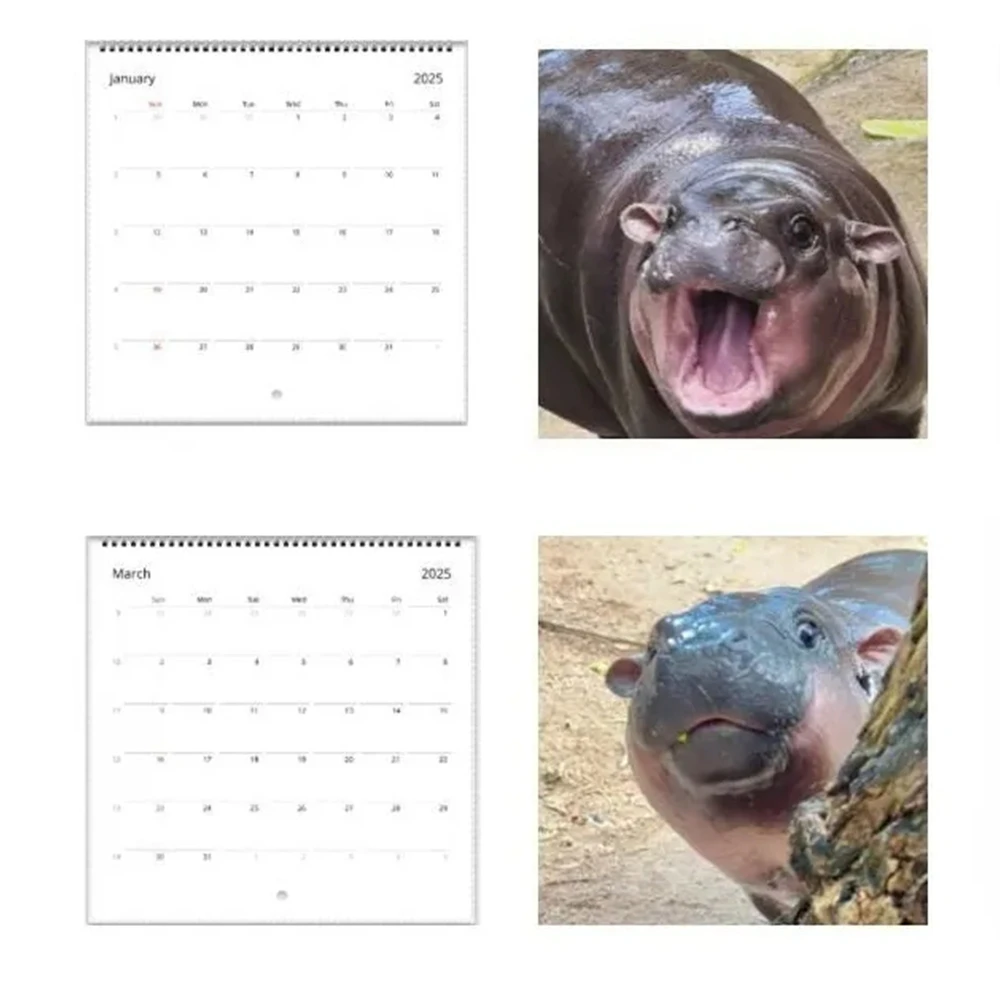 2025 Hippopotamus MooDeng Calendar Hangable Daily Weekly Monthly Planner Durable Wall Calendar Home  Modern Desktop Calenda