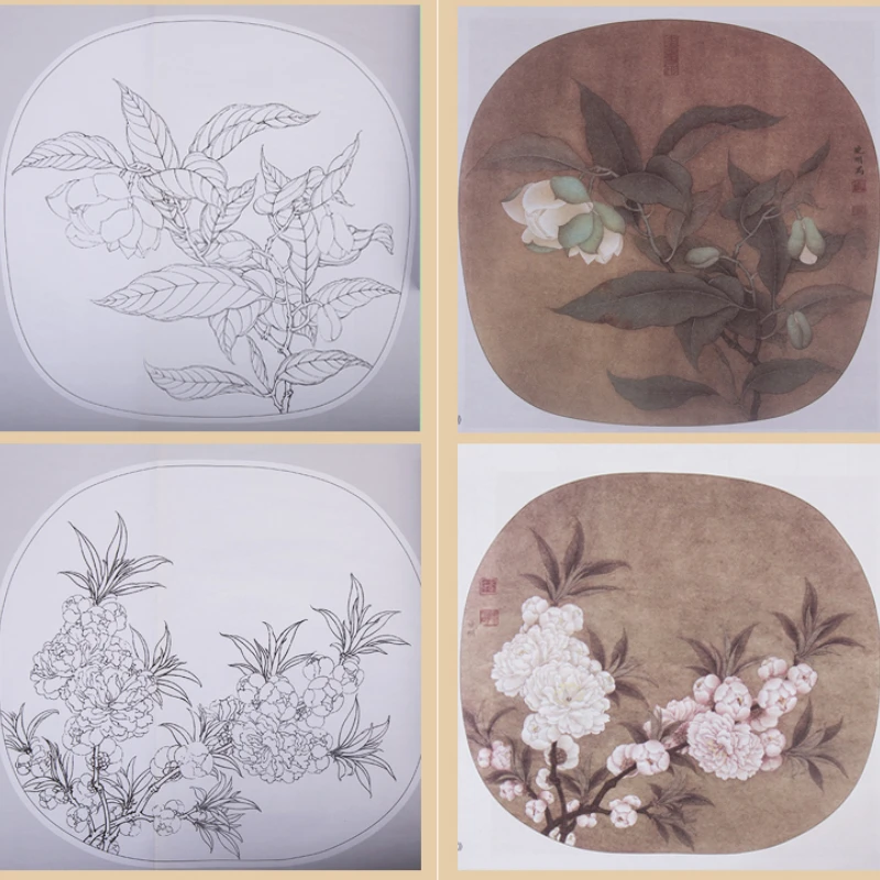 Bird Flower Practical Line Drawing Book Traditional Chinese Painting Hand-painted Coloring Copying Book Picture Enlarged Version