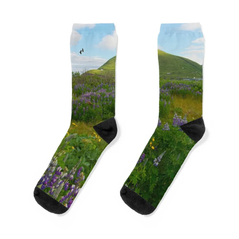 

AleutianLife Ballyhoo in July Socks Novelties Stockings cotton Stockings compression Socks Women Men's