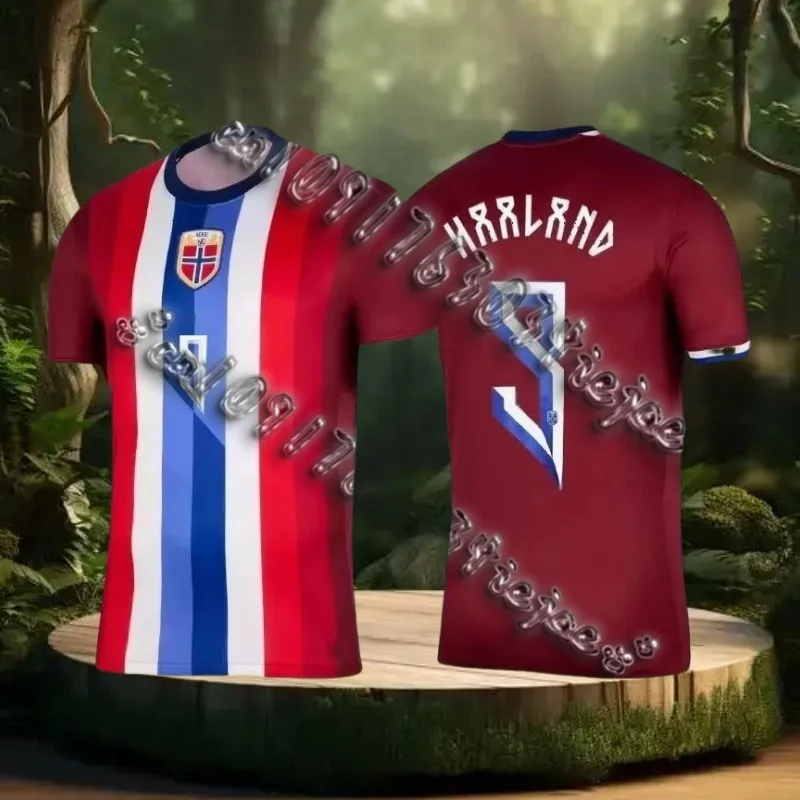 

Unisex Short Sleeved Outdoors Sports Shirt Jersey Tops Men T-Shirts Erling Haaland Norway National Team Home New Jersey T-Shirts