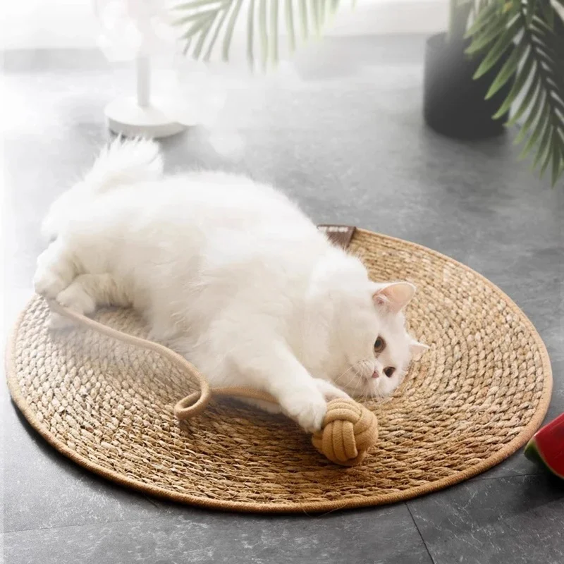 Thumbnail 2 - #8 Cat Furniture Comparison Guide