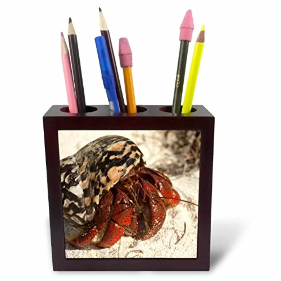 

ph_71340_1 Caribbean Hermit Crab Mona Island Puerto Rico-CA27 MPR0063-Maresa Pryor-Tile Pen Holder 5-Inch