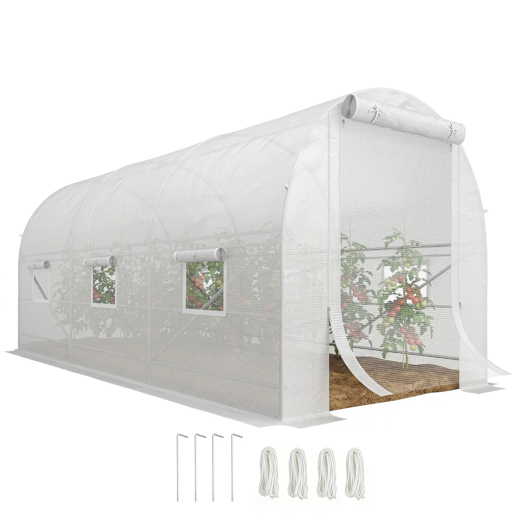 Walk-In Tunnel Greenhouse with Roll-Up Front Door and Six-Sided Windows