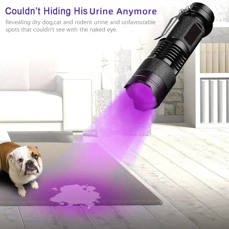 6/1pcs UV Flashlight LED Ultraviolet Torch Zoomable Battery Powered Ultra Violet Flashlights for Pet Urine Stains Agent Detector