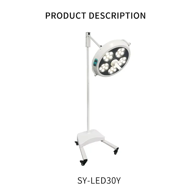 Professional Surgical Light Factory Custom 5 Hole LED Exam Light Low Heat ABS Handle Diagnostic Lamp CE Certified Low MOQ