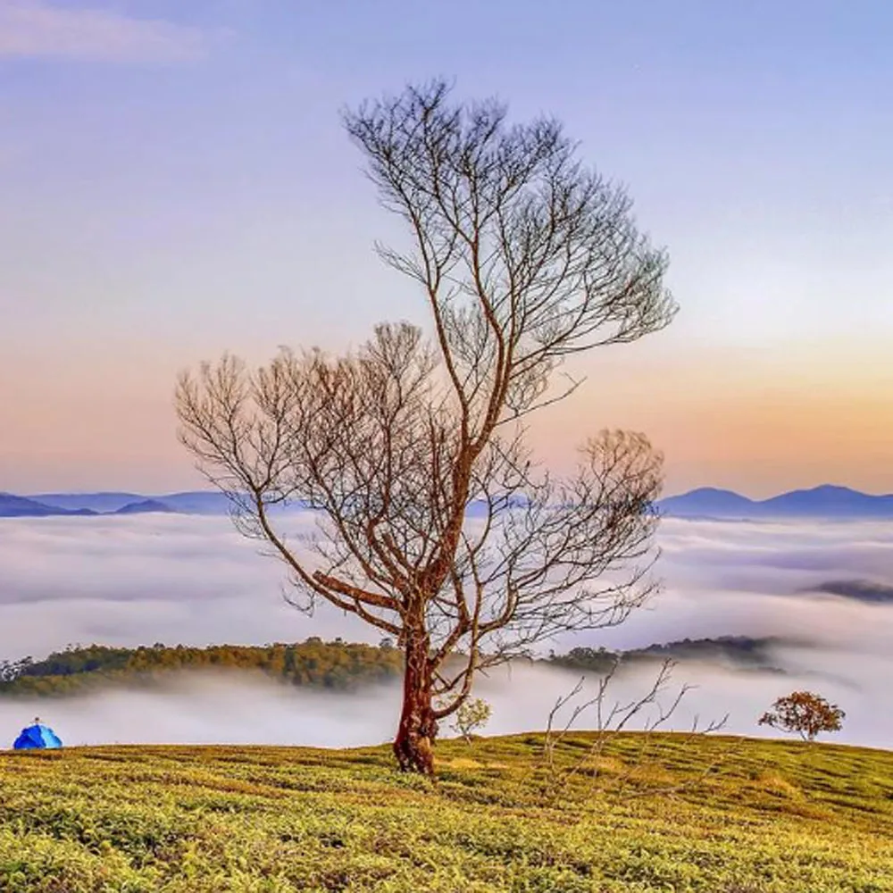 

280ML 4Colors Compatible HP728 728 Refillable Ink Cartridge With Chip For HP Designjet T730 T830 Plotters