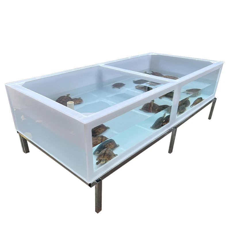 Transparent high-definition glass deepwater fish pond turtle box ecological water tank turtle breeding box