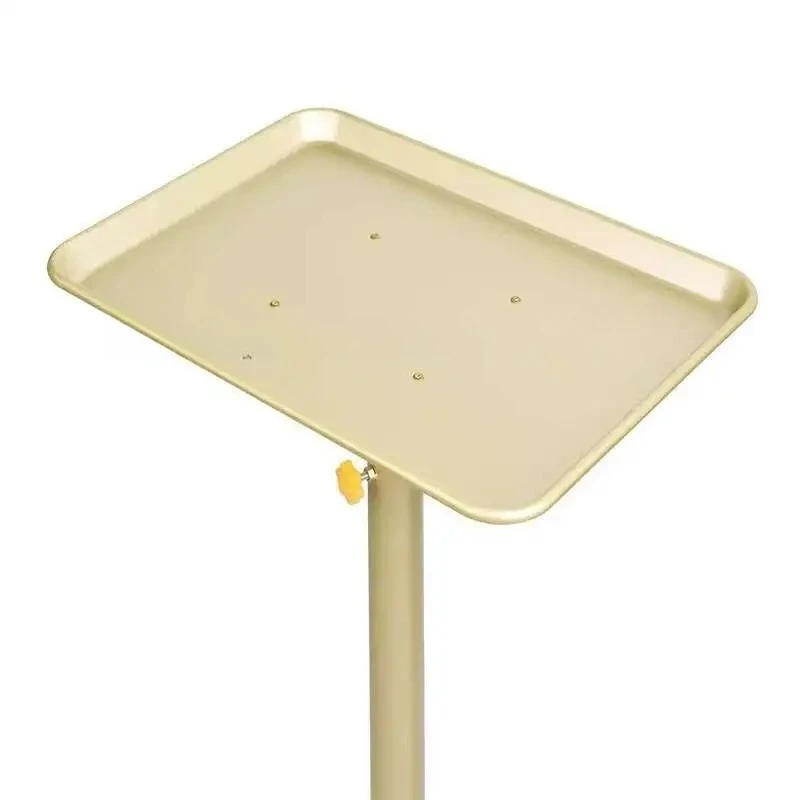 Auxiliary Cart Salon Stainless Steel Carrello Porta Tecar Eyelashes Golden Salon Trolley Wheels Aesthetic Auxiliary Cart Trolley