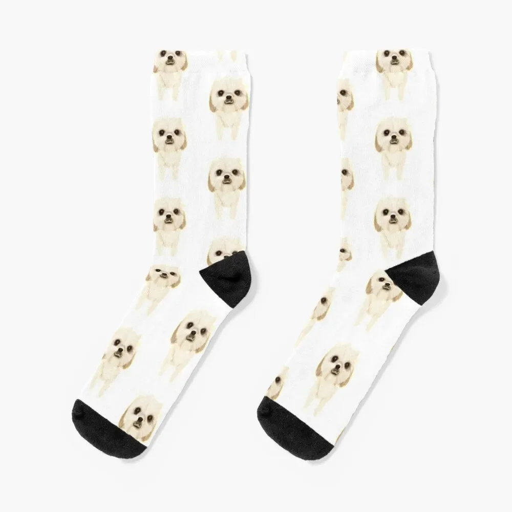 

Bichon Shihtzu Puppy Socks hip hop valentine gift ideas Women's Socks Men's
