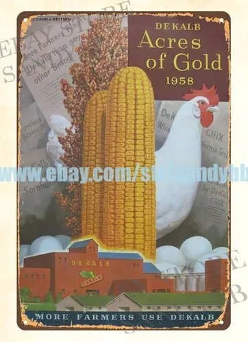 958 DEKALB ACRES OF GOLD SEED CORN CHIX CHICKENS metal tin sign wall art i